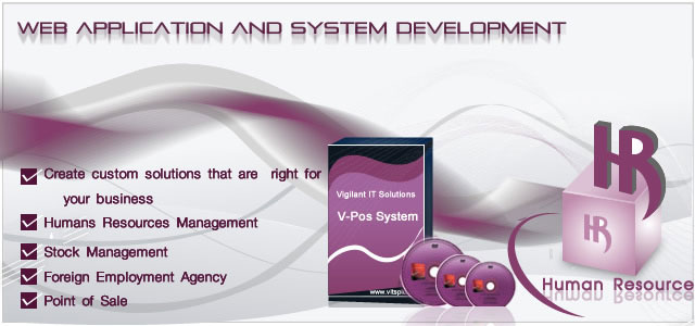 Vigilant-System-Development.jpg